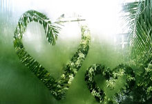 森林狼队前场球员得分效率下降