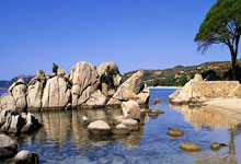 柏林赫塔客场不敌新军，积分榜落后加剧！